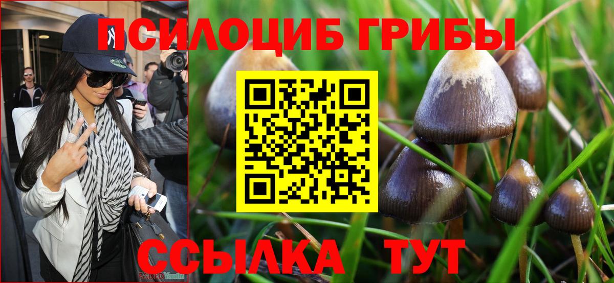 Галлюциногенные грибы прущие грибы Заинск