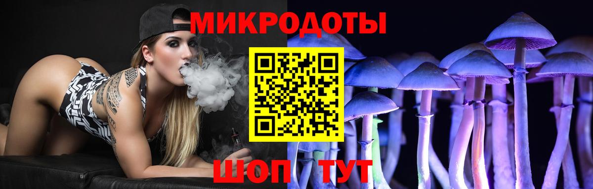 Галлюциногенные грибы Psilocybe  Вход с VPN  Заинск 